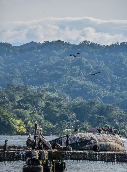 Livingstone, Guatemala