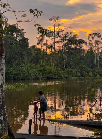 Apus în Orinoco, Venezuela