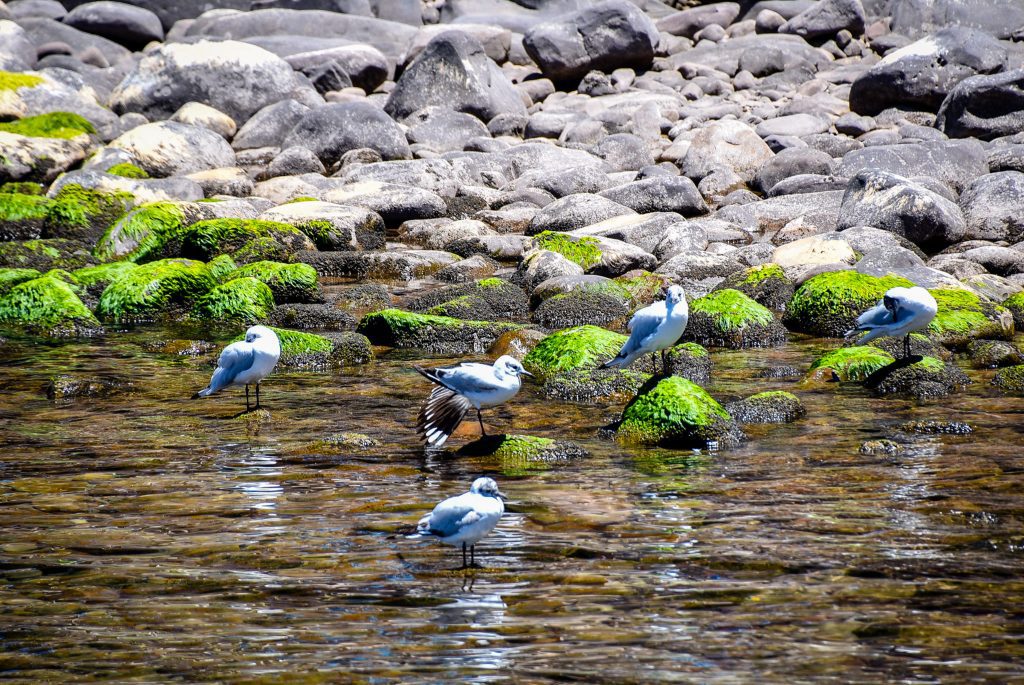 Lacul Titicaca, Peru