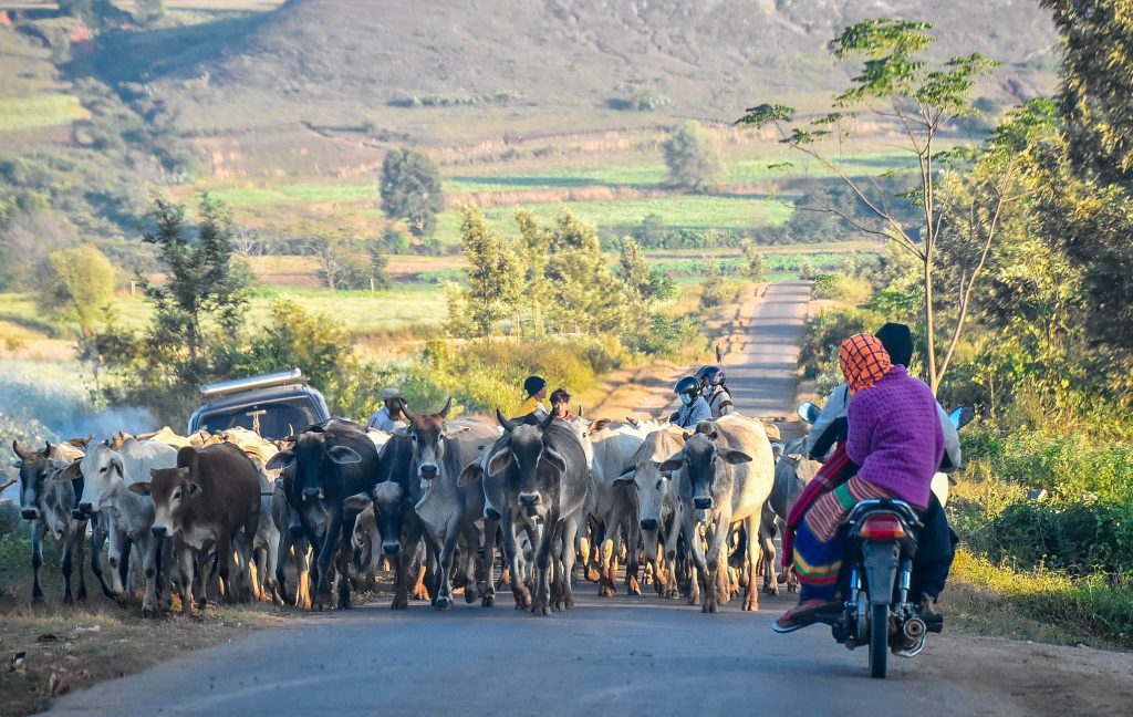 Undeva în Myanmar