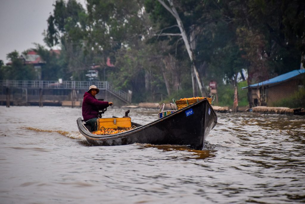 Barca cu roșii pe Inle Lake