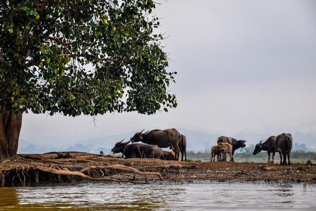 Inle Lake