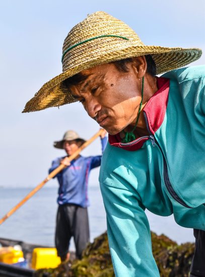 Culegători de alge, Inle Lake